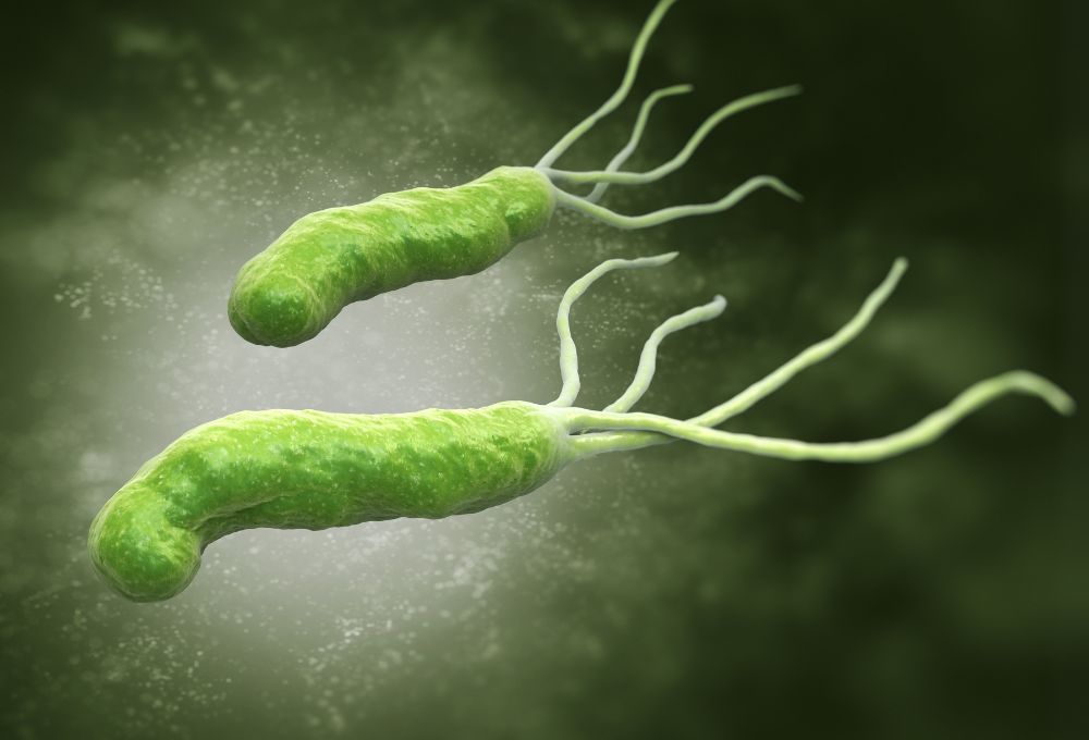 helicobacter pylori