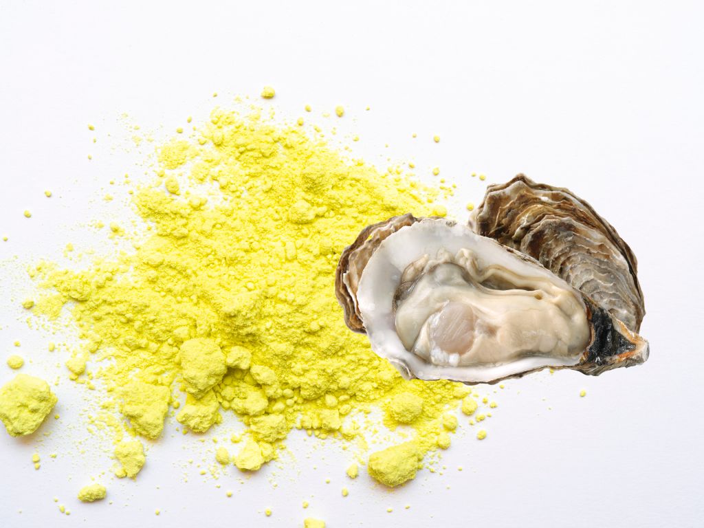 Origen del medicamento Hepar Sulph: a base de azufre y conchas de ostras