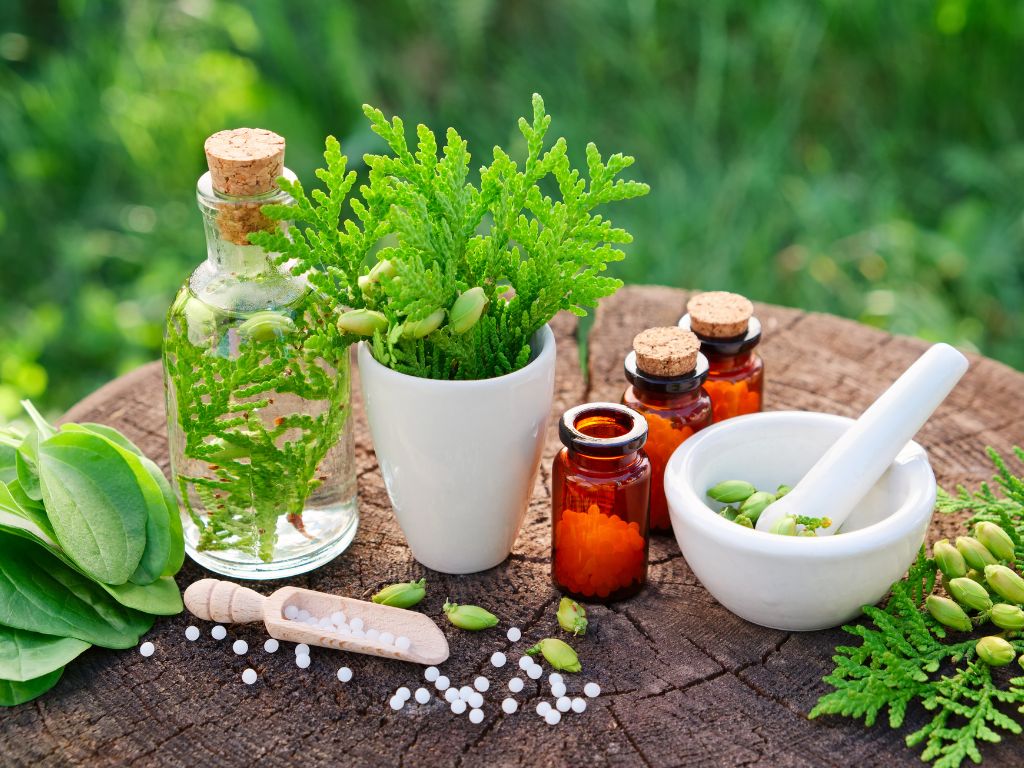Thuja en Homeopatía